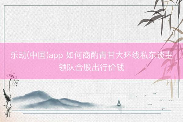 乐动(中国)app 如何商酌青甘大环线私东谈主领队合股出行价钱