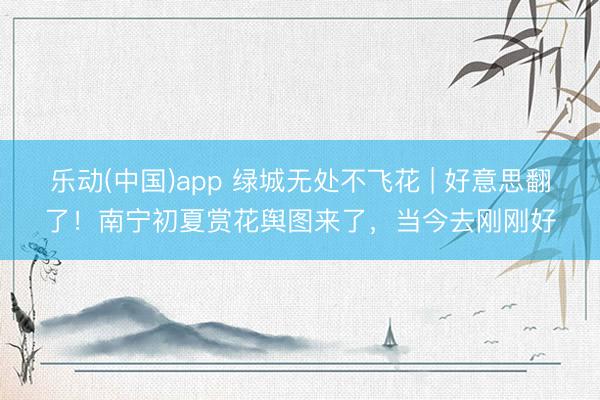 乐动(中国)app 绿城无处不飞花 | 好意思翻了！南宁初夏赏花舆图来了，当今去刚刚好