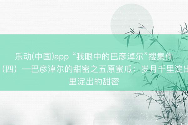 乐动(中国)app “我眼中的巴彦淖尔”搜集作品展出（四）—巴彦淖尔的甜密之五原蜜瓜：岁月千里淀出的甜密