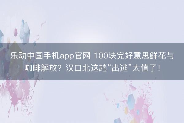 乐动中国手机app官网 100块完好意思鲜花与咖啡解放？汉口北这趟“出逃”太值了！