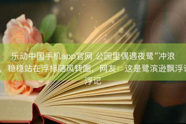 乐动中国手机app官网 公园里偶遇夜鹭“冲浪”，稳稳站在浮标随风转圈，网友：这是鹭滨逊飘浮记