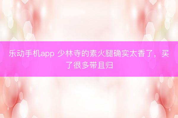 乐动手机app 少林寺的素火腿确实太香了，买了很多带且归