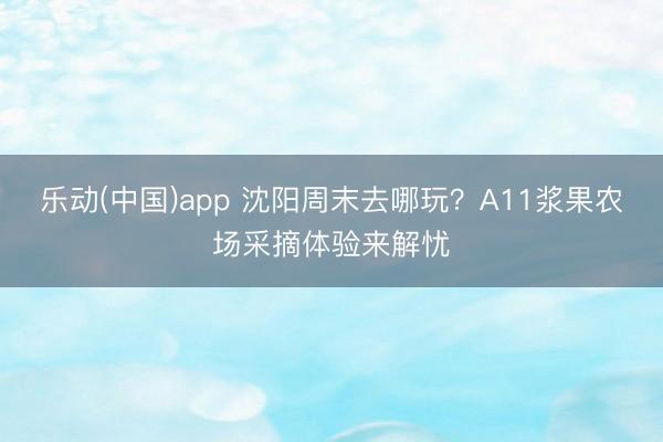乐动(中国)app 沈阳周末去哪玩？A11浆果农场采摘体验来解忧