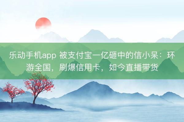 乐动手机app 被支付宝一亿砸中的信小呆：环游全国，刷爆信用卡，如今直播带货