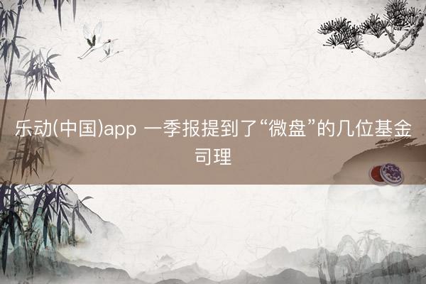 乐动(中国)app 一季报提到了“微盘”的几位基金司理