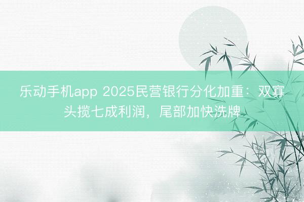 乐动手机app 2025民营银行分化加重：双寡头揽七成利润，尾部加快洗牌