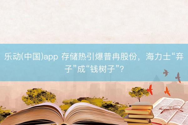 乐动(中国)app 存储热引爆普冉股份，海力士“弃子”成“钱树子”？