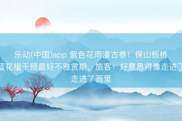 乐动(中国)app 紫色花雨漫古巷!保山板桥古镇蓝花楹干预最好不雅赏期,旅客:好意思得像走进了画里