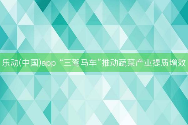 乐动(中国)app “三驾马车”推动蔬菜产业提质增效