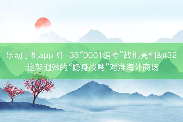 乐动手机app 歼-35“0001编号”战机亮相 这架迥殊的“隐身战鹰”对准海外商场