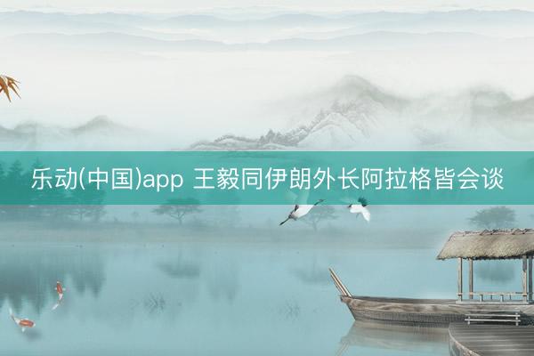 乐动(中国)app 王毅同伊朗外长阿拉格皆会谈