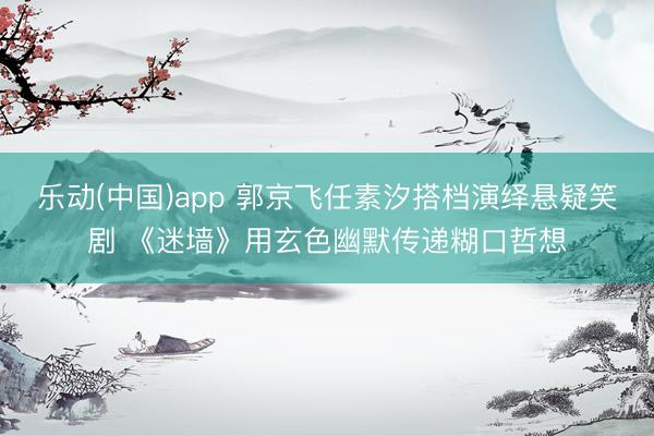 乐动(中国)app 郭京飞任素汐搭档演绎悬疑笑剧 《迷墙》用玄色幽默传递糊口哲想